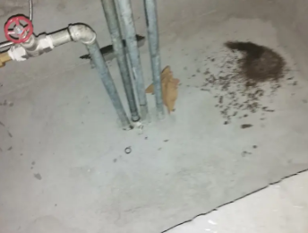 长宁卫生间测漏水价格明细